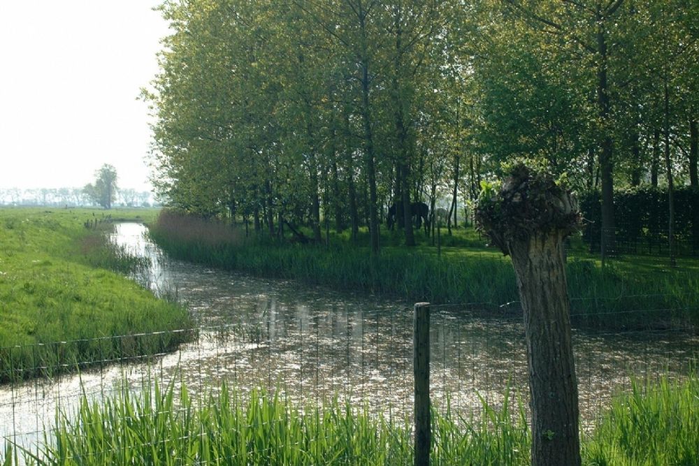 Pronkenburg 4* Brugge